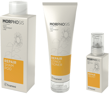 Framesi Morphosis Reinforcing Hair Loss Kit